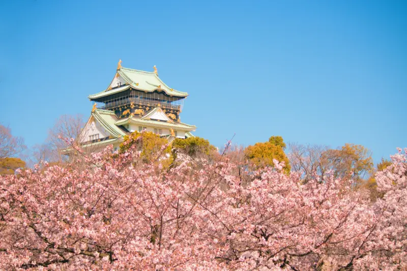 Osaka Castle in spring, surrounded by cherry blossoms.