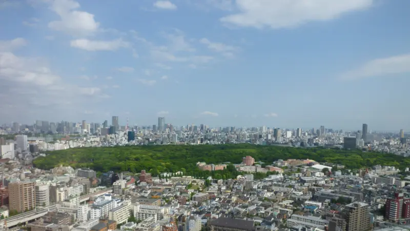  Cherry blossoms blooming in Shinjuku Gyoen
