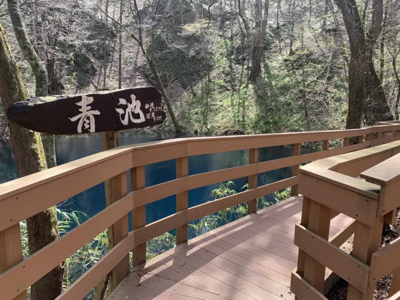 A peaceful lake surrounded by lush greenery in the Shirakami Sanchi area.
