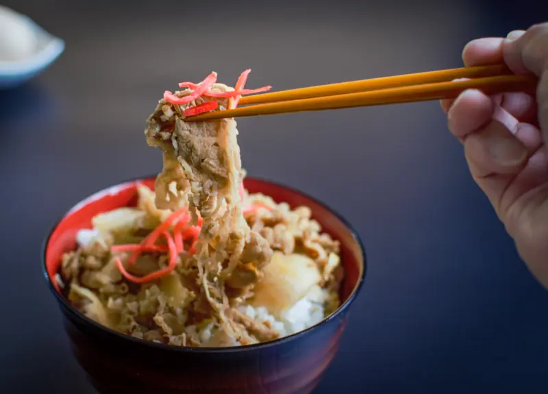 gyudon