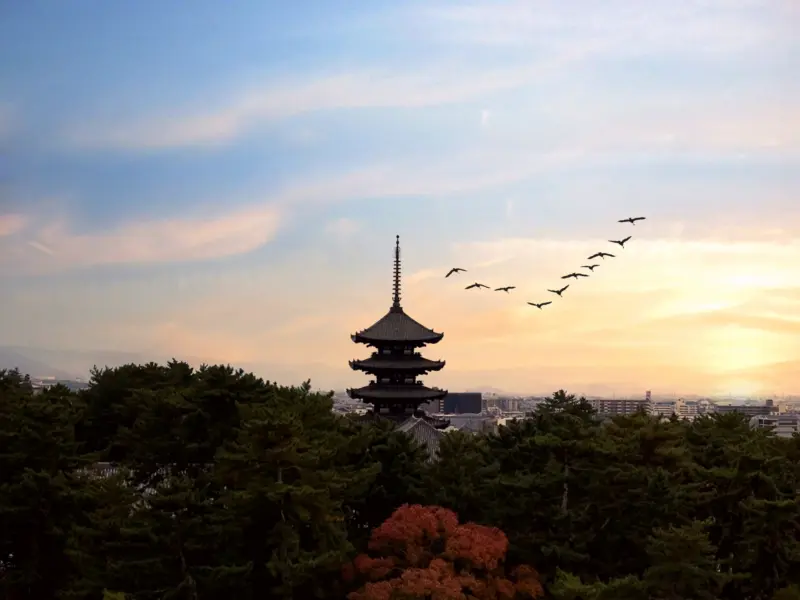 Five-Story Pagoda at Kofukuji Temple