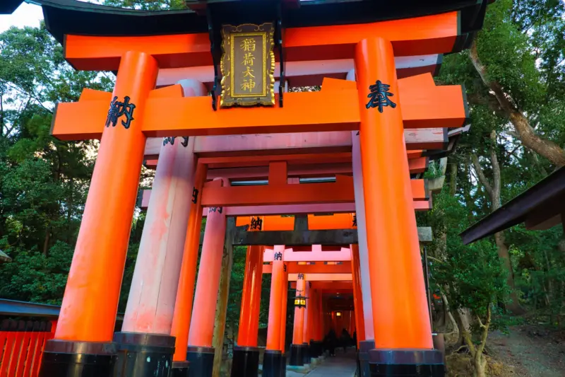 Fushimi Inari Shrine in Kyoto, with its iconic orange torii gates.