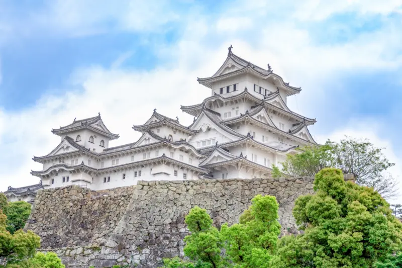  Himeji Castle surrounded by cherry blossoms