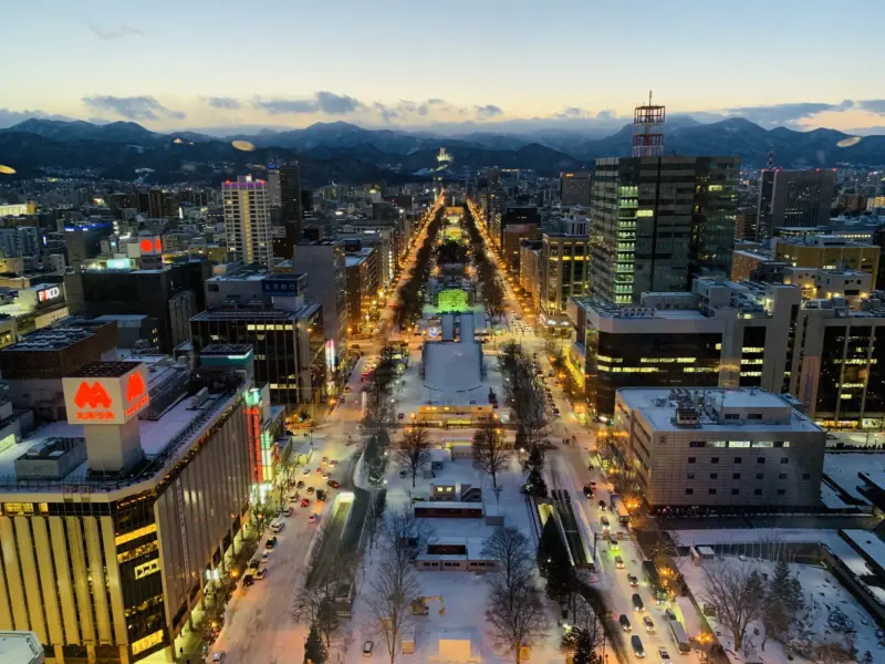 View from Sapporo TV Tower Observation Deck