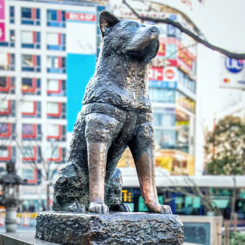 Hachiko Statue near Shibuya Crossing