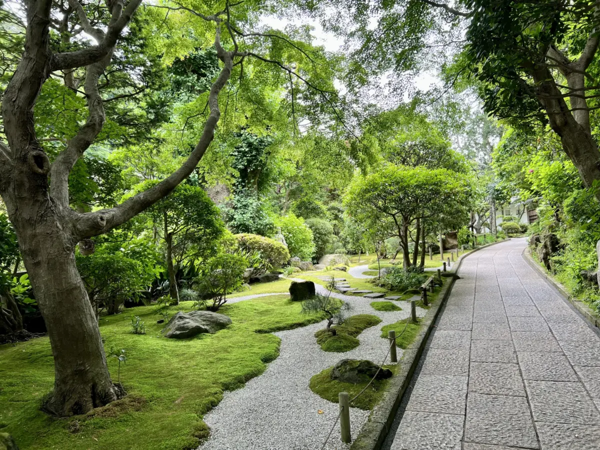 The peaceful garden at Hokoku-ji Temple, featuring a lush bamboo grove and a tea house in Kamakura, Japan.