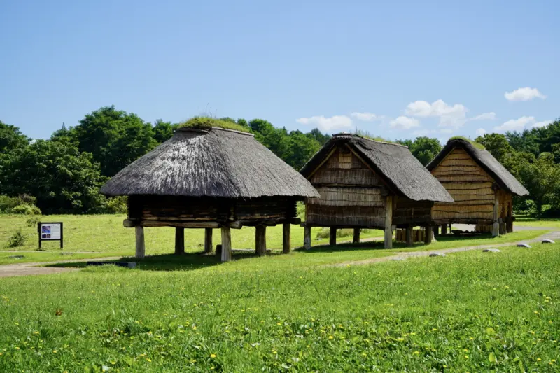 Reconstructed Jomon-era houses at the Sannai-Maruyama site.
