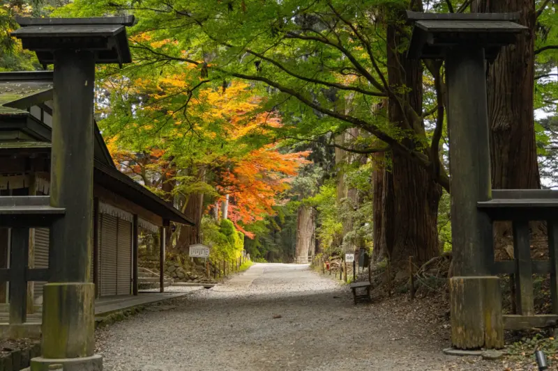 The iconic Chusonji Temple surrounded by lush greenery in Hiraizumi, Japan