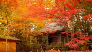 7 Best Things to Do in Iwate, JAPAN