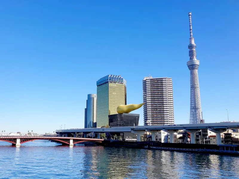 Tokyo Skytree offering panoramic views of Tokyo at night.