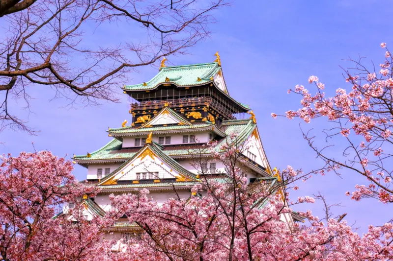 Beautiful gardens at Osaka Castle