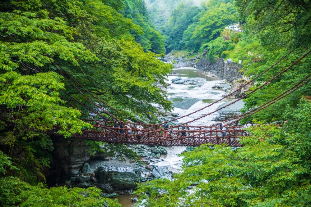 Kazurabashi Bridge spanning the Iya River with lush greenery in the background.
