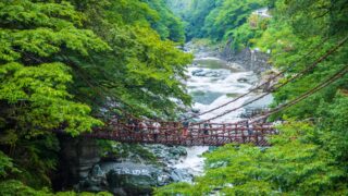 Kazurabashi Bridge spanning the Iya River with lush greenery in the background.