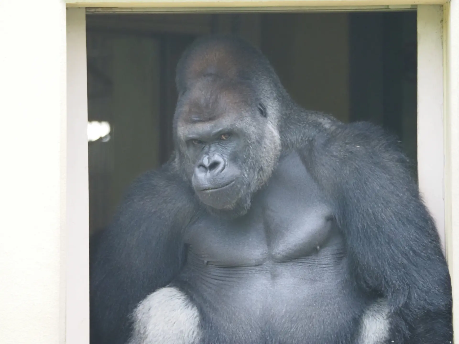 higashiyama zoo