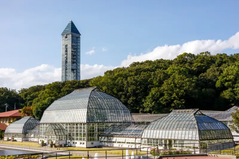  A vibrant flower garden in Higashiyama’s botanical section
