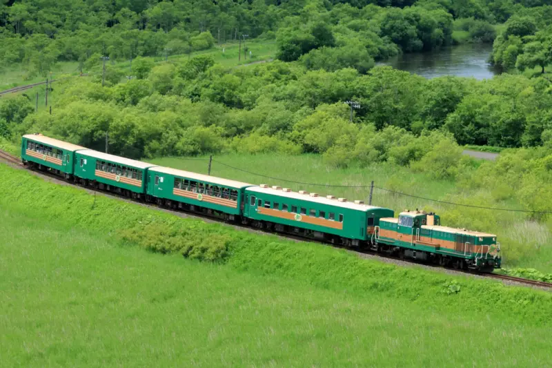 Furano Biei Norokko Train