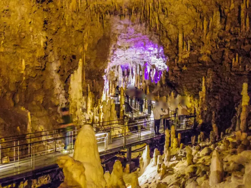 Okinawa World showcasing Gyokusendo Cave and cultural exhibits