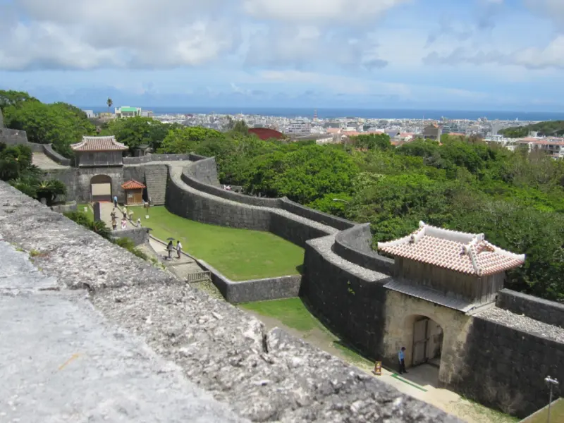 The Castle Walls