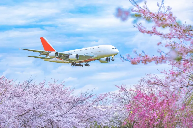 Narita International Airport with passengers checking in