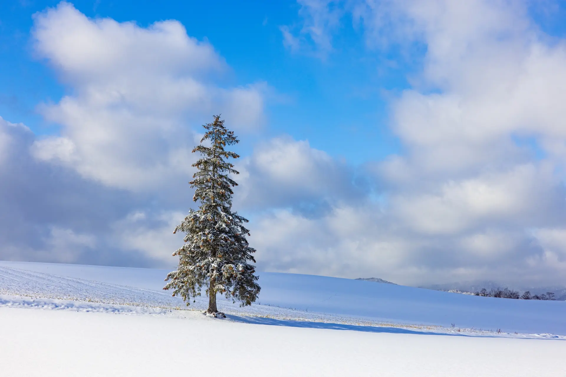 hokkaido