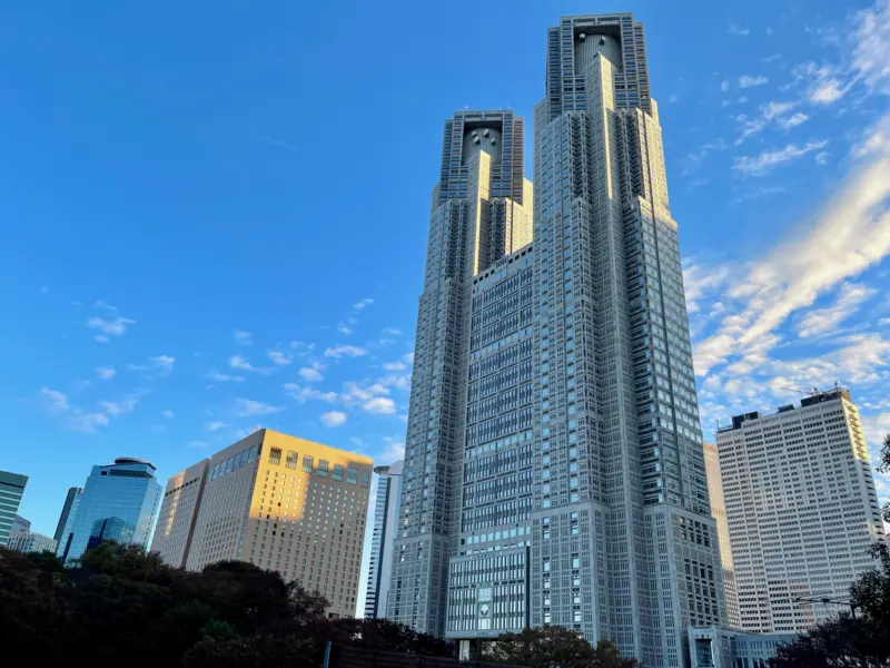 Stunning skyline view from the observation deck