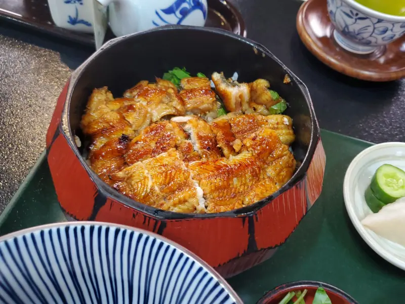 Bowl of hitsumabushi with toppings on the side
