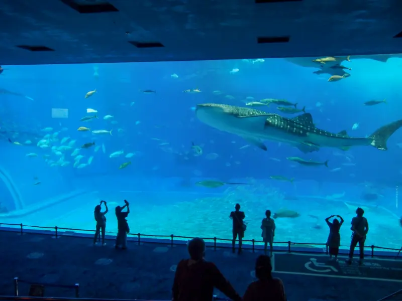 Okinawa Churaumi Aquarium (Okinawa)