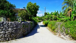 Okinawa Cuisine: Top 9 Must-Try Local Dishes