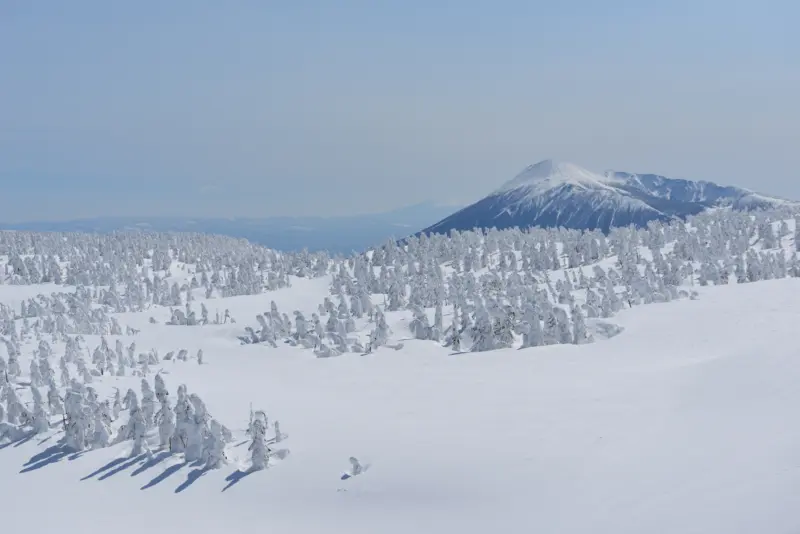 Mount Iwate towering above a forest in northern Japan