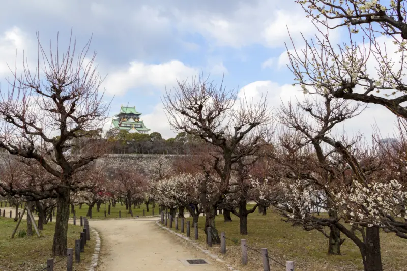 Beautiful gardens at Osaka Castle