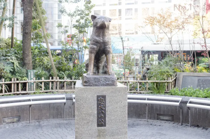 Hachiko Statue near Shibuya Crossing