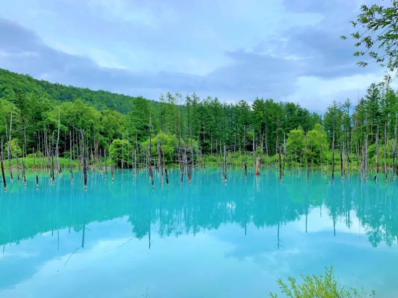 Biei Blue Pond