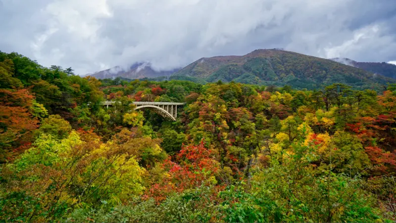  Vibrant autumn leaves surrounding Naruko Gorge in Miyagi.
