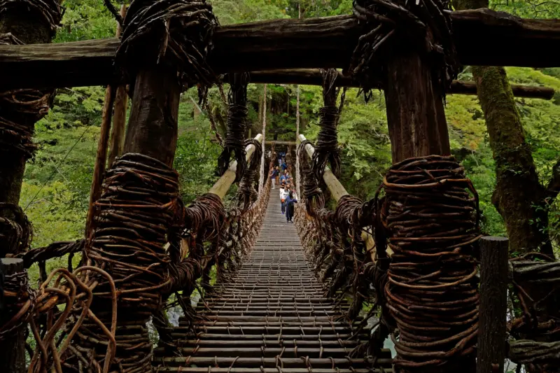  A view of Kazurabashi, a historic vine bridge crossing over the Iya River, surrounded by lush greenery.