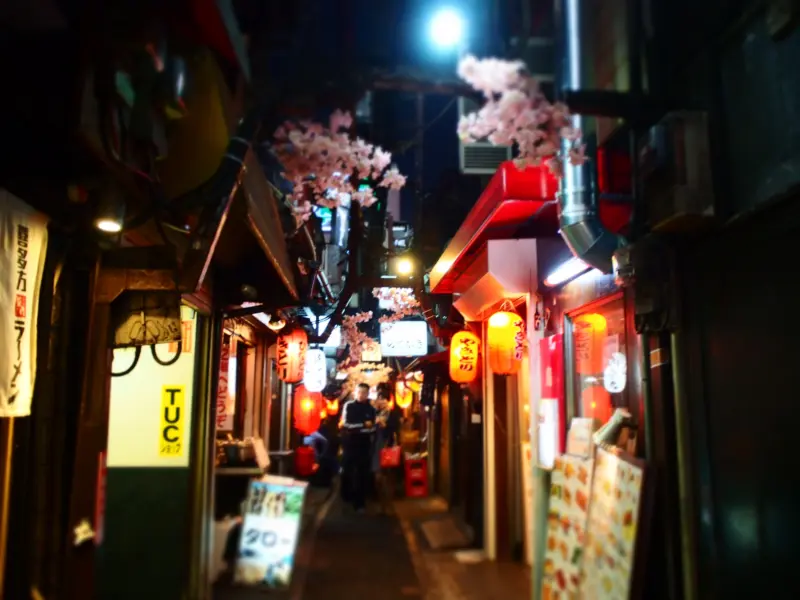 Narrow alley in Omoide Yokocho with lit lanterns