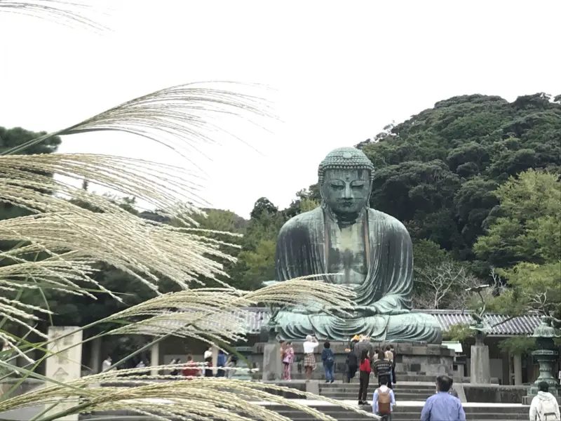  The Great Buddha of Kamakura surrounded by greenery
