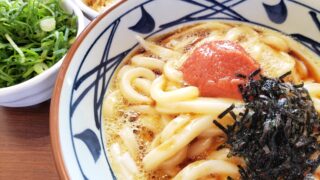 Marugame Udon: Authentic Japanese Noodles Made Fresh