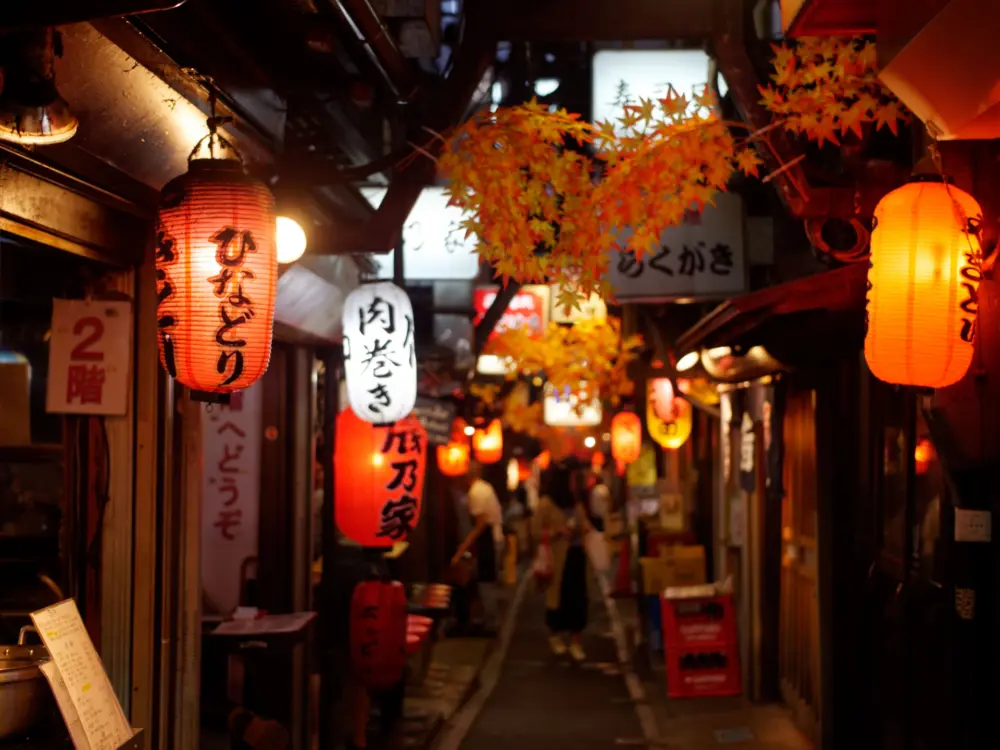 Lanterns in Omoide Yokocho