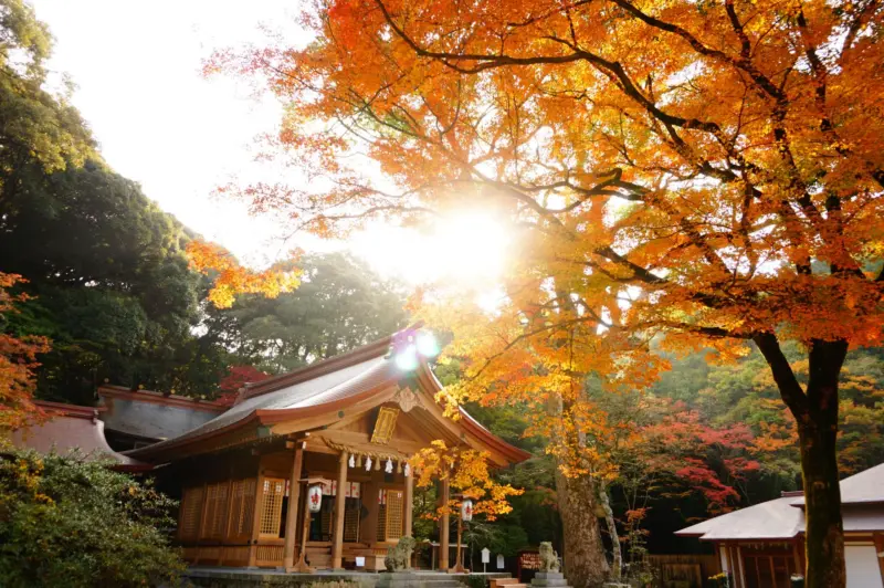 Beautiful nature at Homan-gu Kamado Shrine