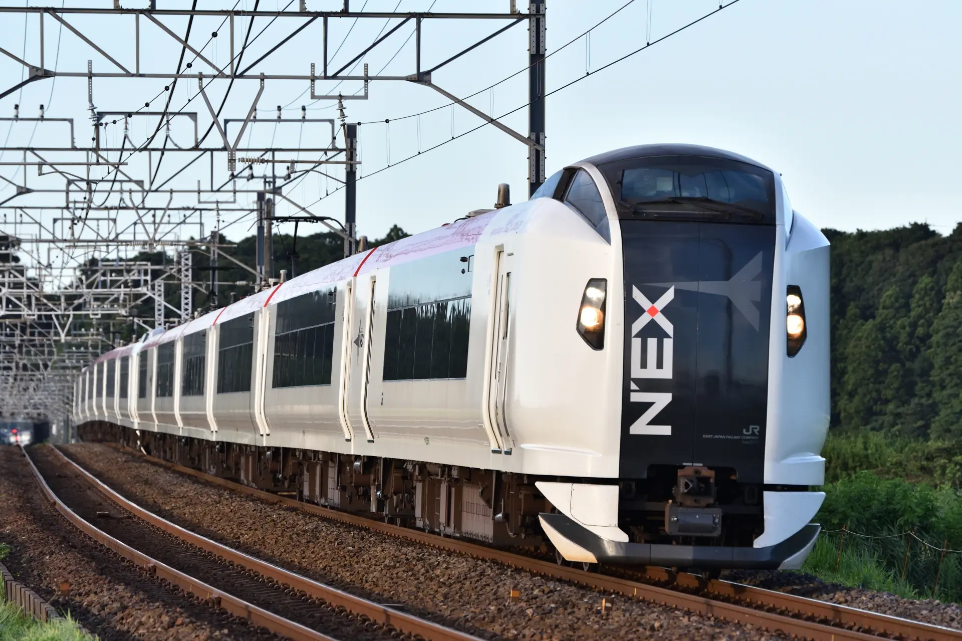 Narita Express