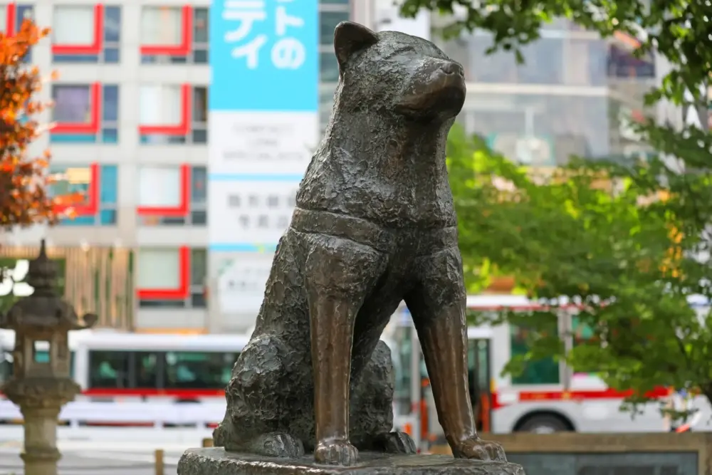 hachiko statue in shibuya