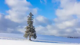 Hokkaido Travel Guide: Top Attractions and Highlights