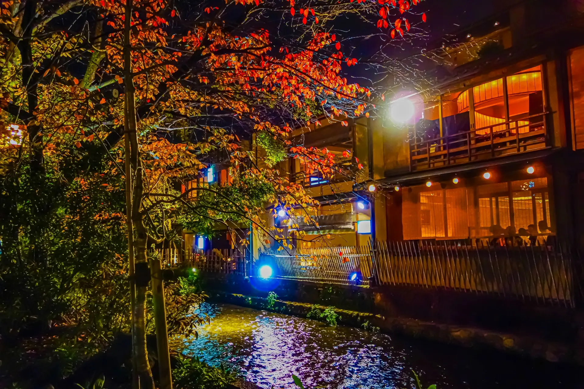 Shirakawa Canal with cherry blossoms and traditional buildings