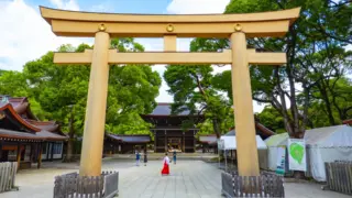 A grand torii gate at Meiji Jingu Shrine