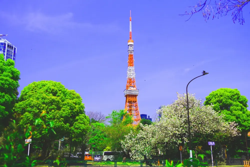 A daytime view of Tokyo Tower, one of Tokyo's most iconic photo spots, standing tall against a clear blue sky.