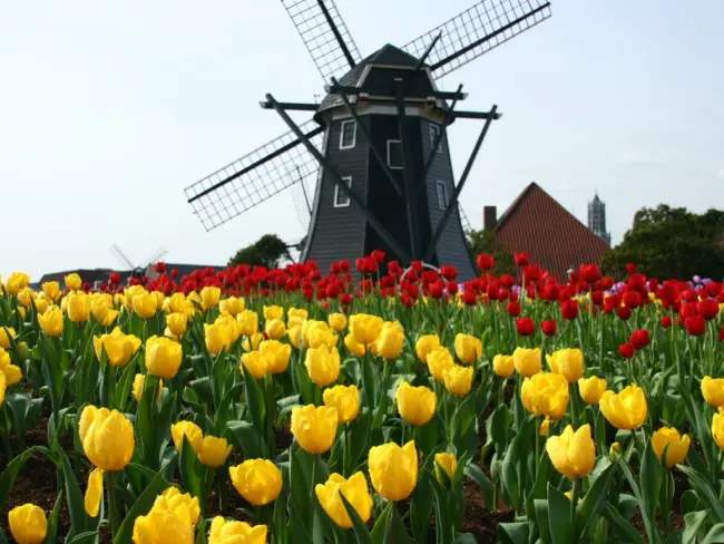 European-style canals and flower gardens at Huis Ten Bosch amusement park in Nagasaki