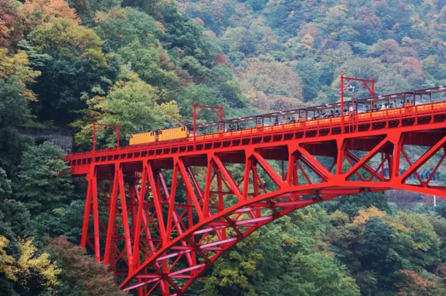 The scenic Kurobe Gorge Railway winding through lush valleys and rugged cliffs.