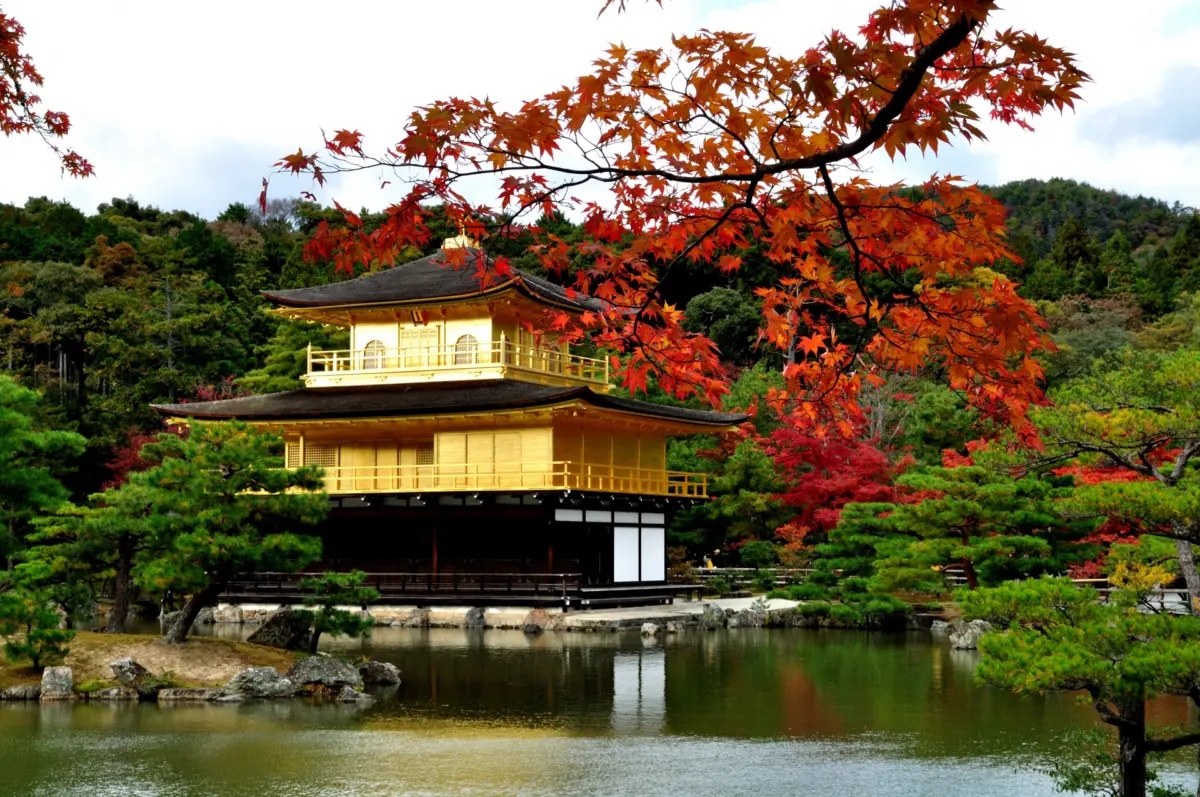 The Golden Pavilion in Kyoto, a key location among Japan UNESCO World Heritage Sites, surrounded by vibrant autumn leaves.