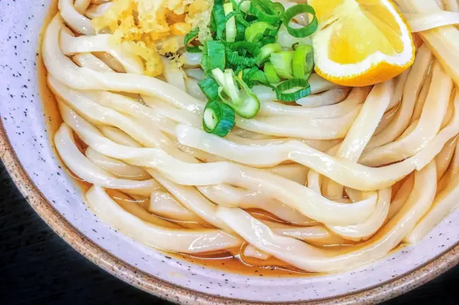 udon noodle