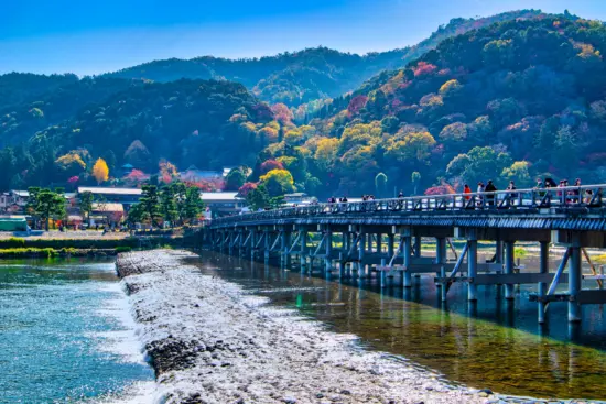 The peaceful Arashiyama Bamboo Grove, a must-see spot in Kyoto.